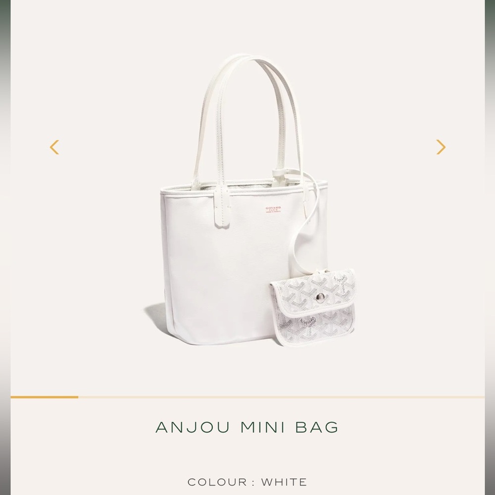 BNWT Goyard Anjou mini bag🤍🩶 - Picture 9 of 10